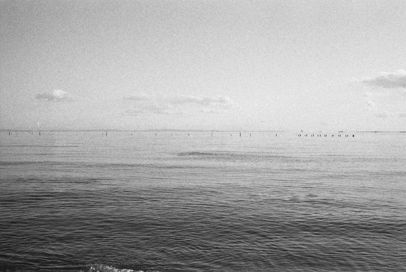 09/Feb/2012 Kasai, Diving birds