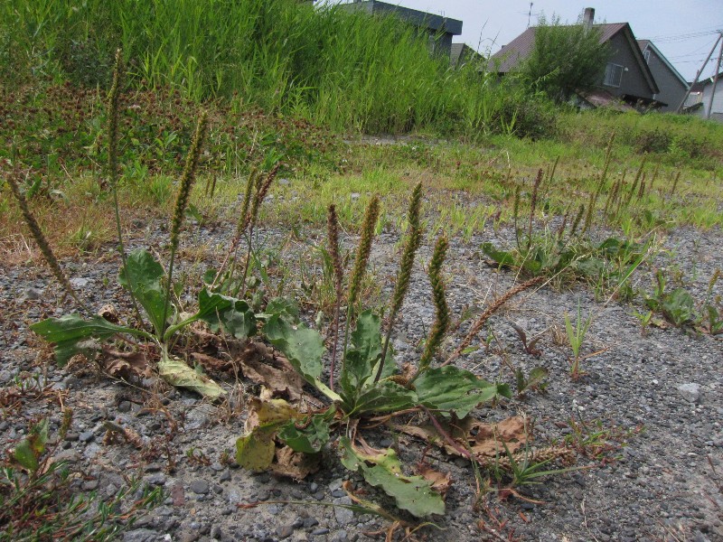 時間を持て余して