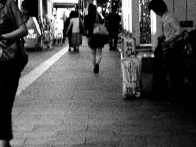 札幌市街徘徊