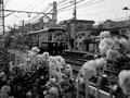 10/June/2010 Arakawa Line